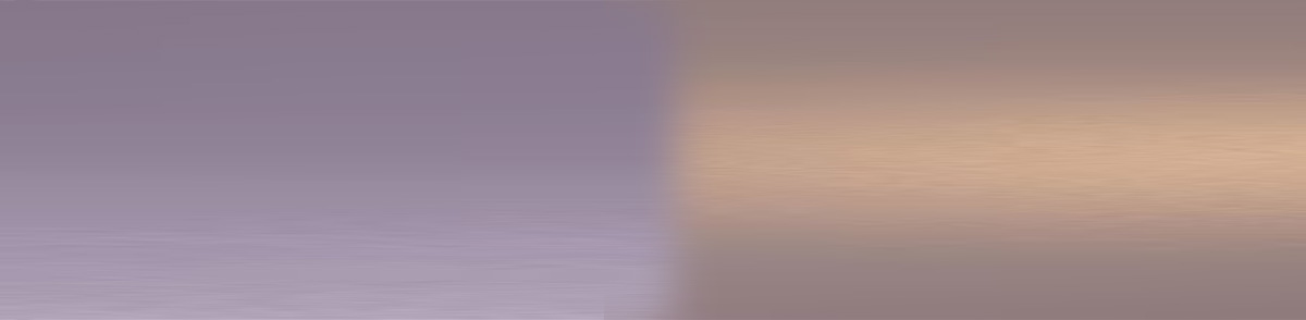 Terms and conditions 