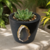 Premium Black Vase Plant Indoor