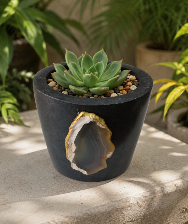 Premium Black Vase Plant Indoor